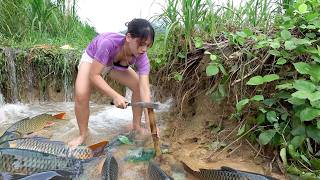 Unbelievable Fishing Technique: Best Catching Catfish In Underground Big Dry Lake On Dry Season