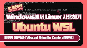 Windows 환경에서 리눅스를 사용해보자 - WSL2 Ubuntu 설치 및 설정 방법