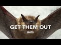 Get Bats Out