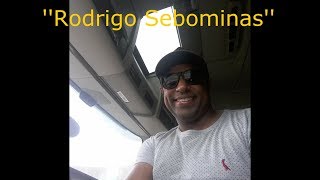 Rodrigo Do Scania Amarelo Sebominas