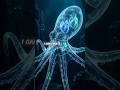 “Why Octopus Never Fights 😳 | Real Intelligence Lesson 🐙” #tamilshorts #shortfeed