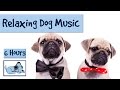 6 HOURS of Relaxing Dog Music. For Separation Anxiety and Restless Pups!