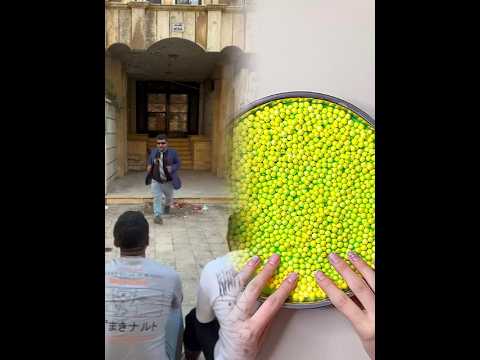 مصطفى الحموي البرنس نزار الحموي ابراهيم كياري الشعب الصيني ماله حل الحمو