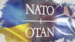 Хроники Независимости. Украина-НАТО: шаги навстречу Хроники Независимости. Украина-НАТО: шаги навстречу