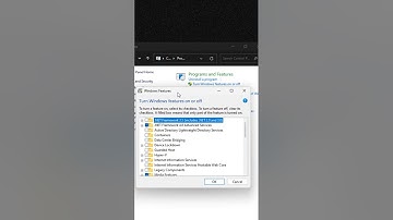How to Enable Virtualization on Windows 11