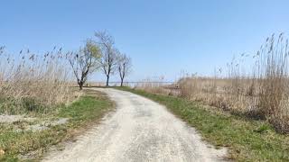 【4K】 Walking Under a Blue Sky to a Calm Lake