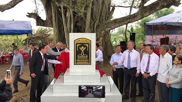 Cây đa trên 200 tuổi, cây di sản được bảo vệ tại Bến Đình Phước Xã