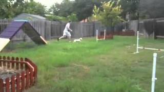 Diy Dog Agility A Frame 7 Steps With