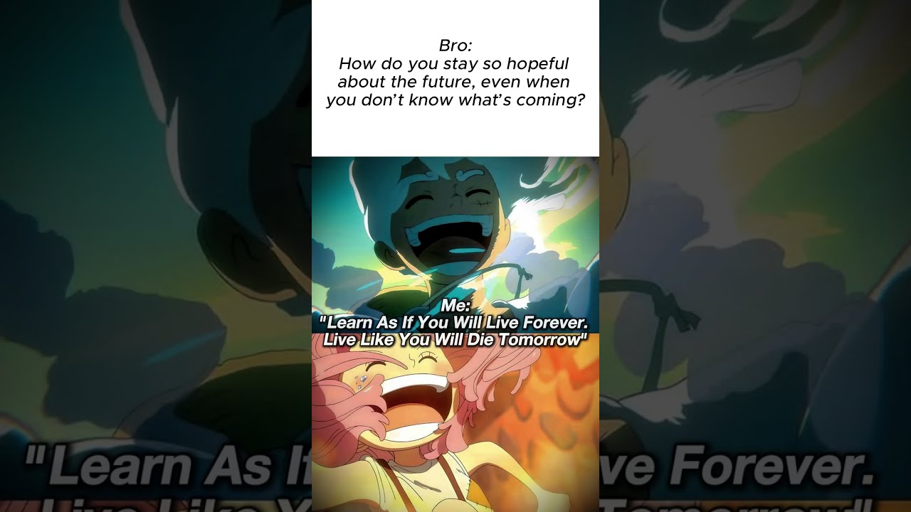  Live Like You Will Die Tomorrow Luffy X Bonney Edit