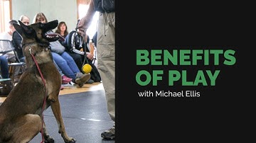 The Benefits of Play with Michael Ellis