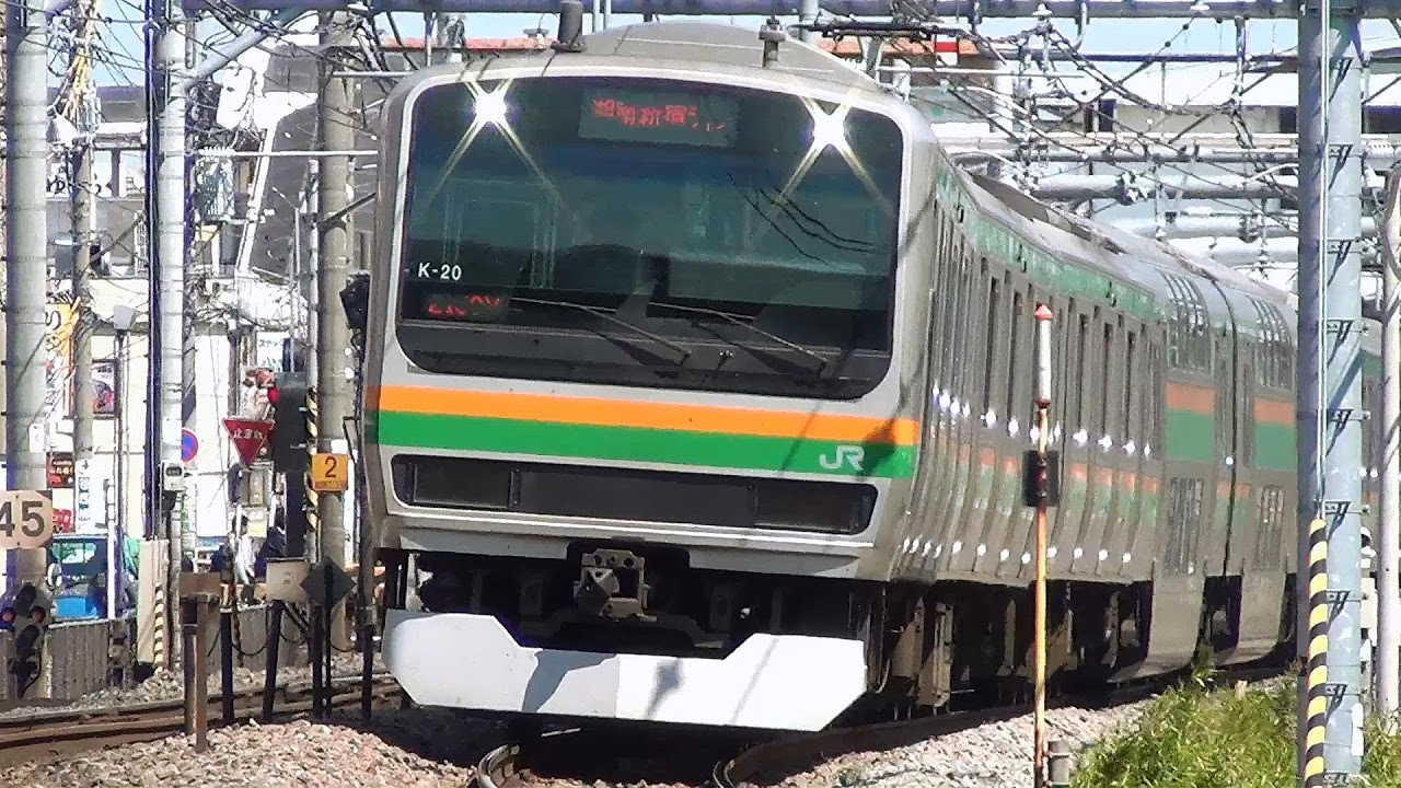 409さん専用E21系　湘南新宿ラインのピンバッチ 409さん専用E21系 湘南新宿ラインのピンバッチ