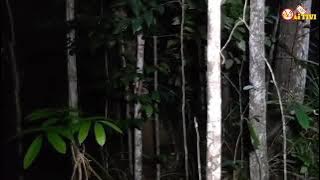 perjuangan crew creative Tv Demi bertemu Prabu Mahabala #short