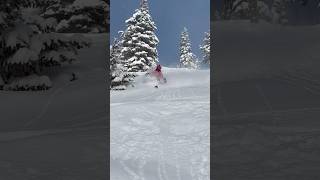 An amazing day powder skiing. ❤️ #skiing #powder #siblings