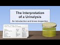 Interpretation of the Urinalysis (Part 1) - Introduction and Inspection