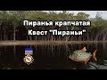 РР3. Пиранья крапчатая  Квест "Пираньи". Russian Fishing. Piranha quest.