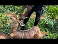 Deer hunting in nigeria   best nigeria hunting  hunting ep17