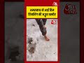 Amarnath से आई हिम शिवलिंग की अद्भुत तस्वीर #amarnath #viralvideo #shivling #shortsvideo