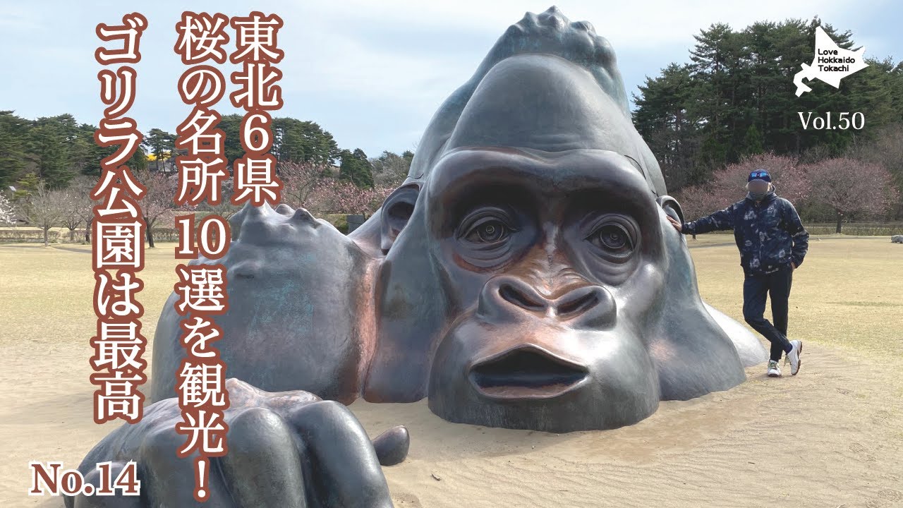 2021 ゴリラ公園は最高 東北6県 桜の景勝地めぐり No14 - YouTube