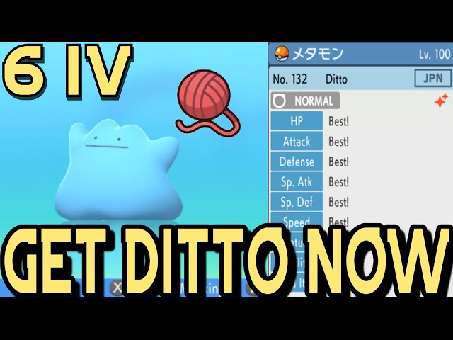 Pokemon Brilliant Diamond and Shining Pearl Shiny Ditto with Destiny Knot  6IV