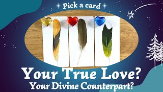 Your True Love? 🌟 Your Divine Counterpart? 💚⎜Pick a card⎜Timeless reading
