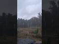 Climate ☔🌨️ #rain #shorts #youtube  #andaman #island #weather