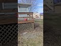 “From Property Preservation to Realtor | A Full Circle Home Story