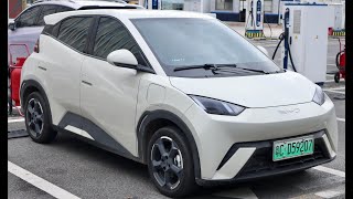 Why Can't I Buy a Super-Cheap Chinese Electric Car?? (w/Richard Wolff)