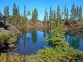 Forbidden Plateau, Strathcona Provincial Park, British Columbia 2017