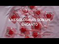 Canción de Masha y el Oso en ruso (tiktok)