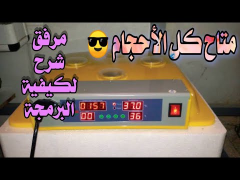 أسعار فقاسات البيض في مصر جميع الماركات والأسعار