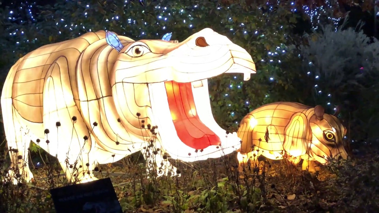 2017 Cincinnati Zoo Festival Of Lights Walkthrough YouTube 2017-cincinnati-zoo-festival-of-lights-walkthrough-youtube