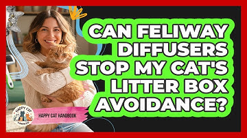 Can Feliway Diffusers Stop My Cat