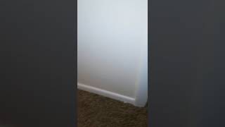 Need carpet threshold