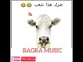 ضربني ضربة  دخت عبالك