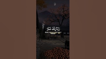ربنا إنك تعلم مانخفي و مانعلن #القرآن_الكريم #quran #راحة_نفسية #تلاوات #آيات #تجويد