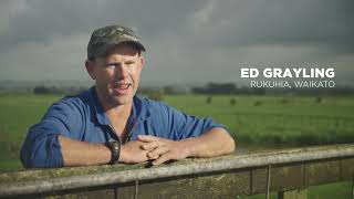 Multimin Performance Ready Ed Grayling, Waikato