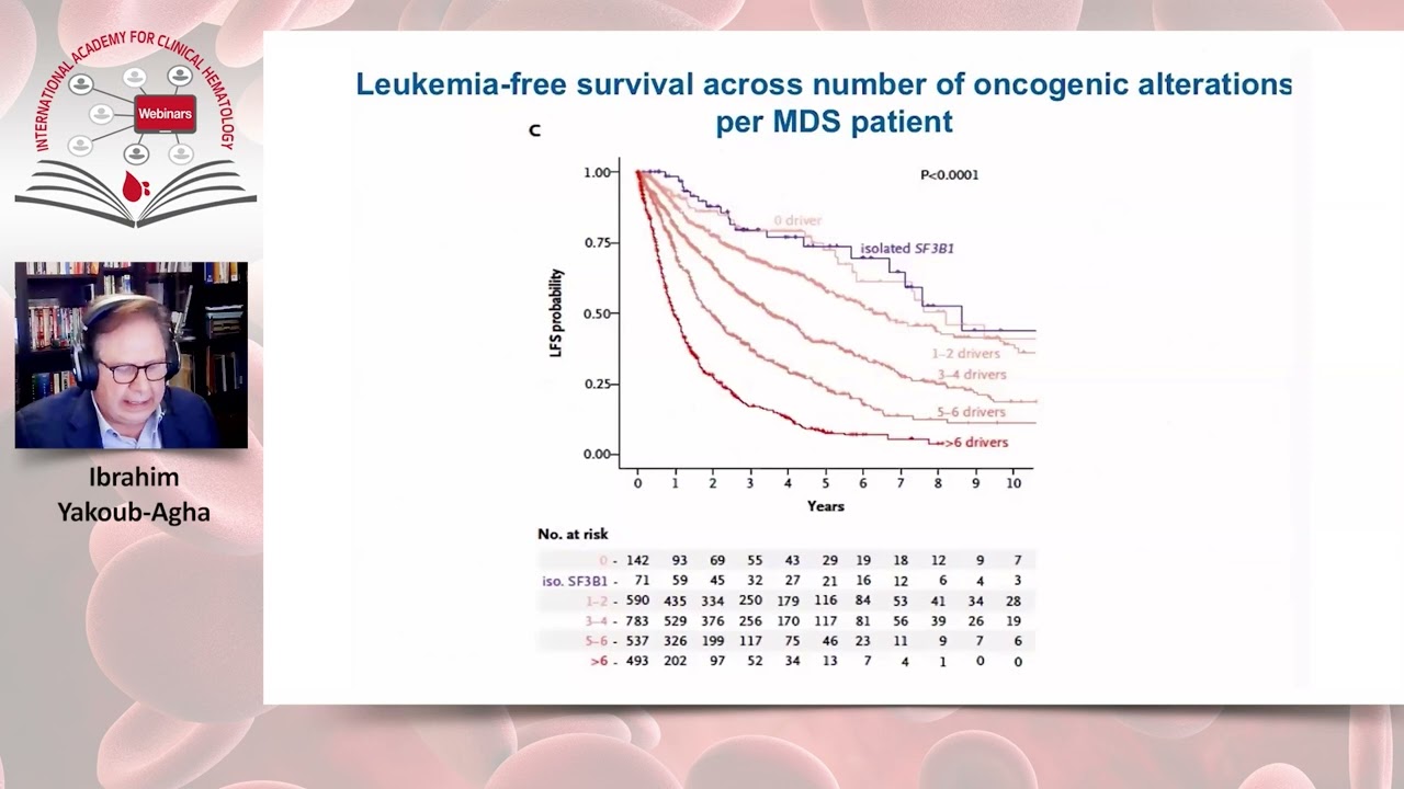 Management of High-Risk MDS: Where Do We Stand?