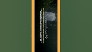 سورة الفجر بصوت هادئ يريح النفس | Relaxing Surah Al-Fajr for the Soul
