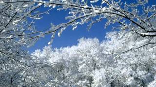 Noisebound - First Snow