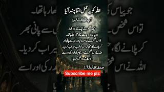 💧 کتے کو پانی پلایا… اور جنت مل گئی! 🌸 (حدیث بخاری) #حدیث #حدیث_نجفی #حدیث_شریف #حدیث_مبارکہ #حدیثیں