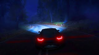 forest night drive (sad hours)