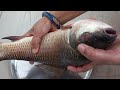 How to cut fish at home  rohu fish cutting  fish cutting  fish cutting technique at home 