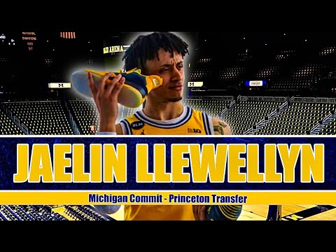 Michigan Transfer | Jaelin Llewellyn Breakdown