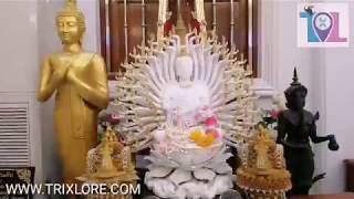 Trixlorecom New Year Wishes - Thai
