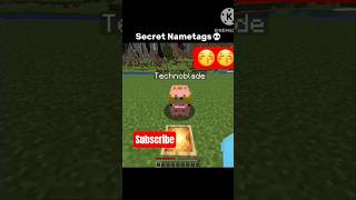 Secret Minecraft name tags that do crazy things!!