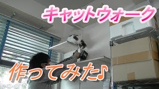 キャットウォーク作ってみた　Create a catwalk