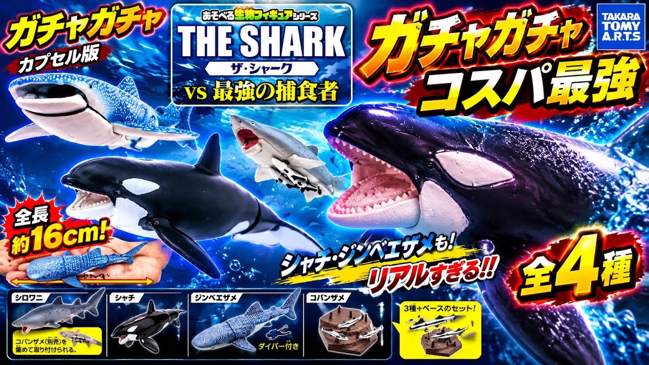 Capsule Toys] THE SHARK vs. The Strongest Predator [Best Value