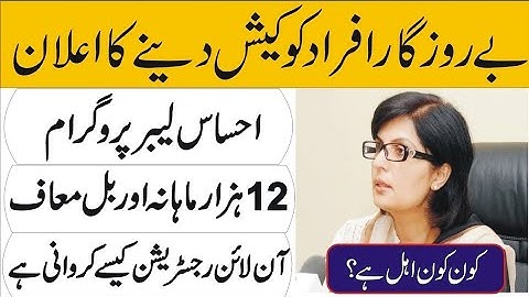 How to apply for Ehsaas Labour Program | Chota karobar Online Registration Form | PM web portal