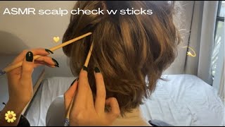 ASMR: scalp check w sticks