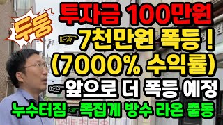 [100만원 소액투자 7000% 수익 실화] 인동선 초역세권 수원 나홀로 아파트의 반란!